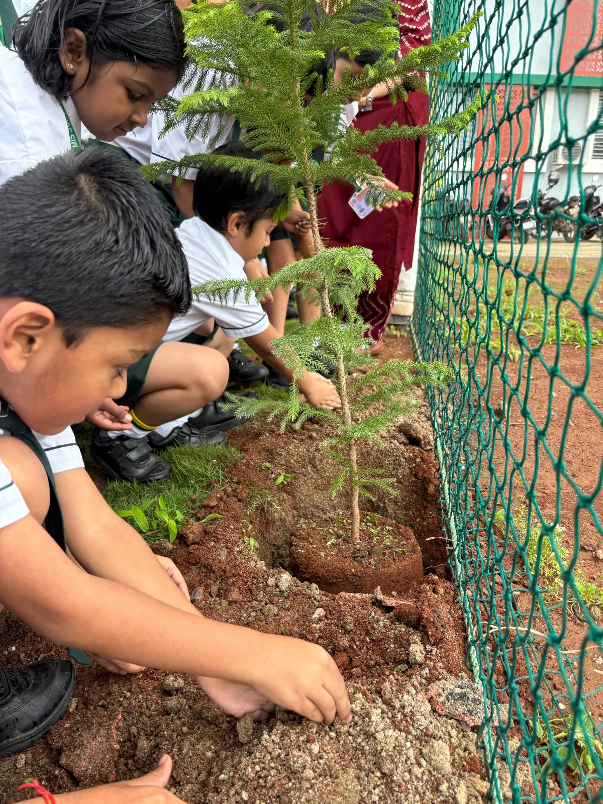 Ek Ped Maa Ke Naam, Tree Plantation Activity at MIS School Maan Hinjawadi