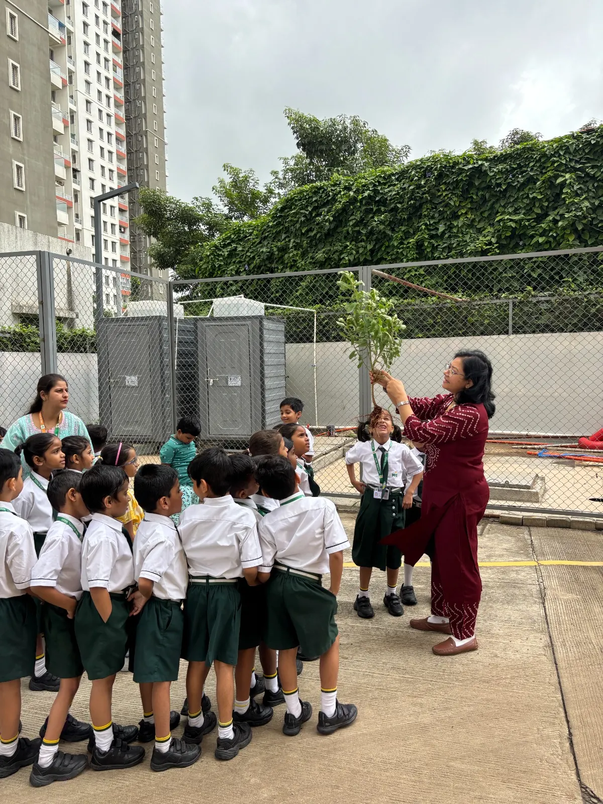 Ek Ped Maa Ke Naam, Tree Plantation Activity at MIS School Maan Hinjawadi
