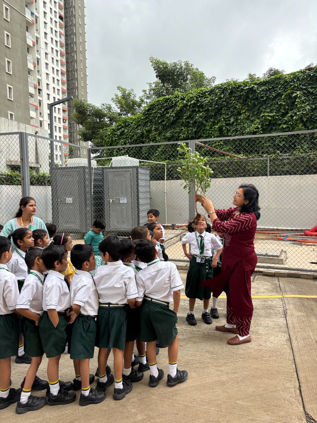Ek Ped Maa Ke Naam, Tree Plantation Activity at MIS School Maan Hinjawadi