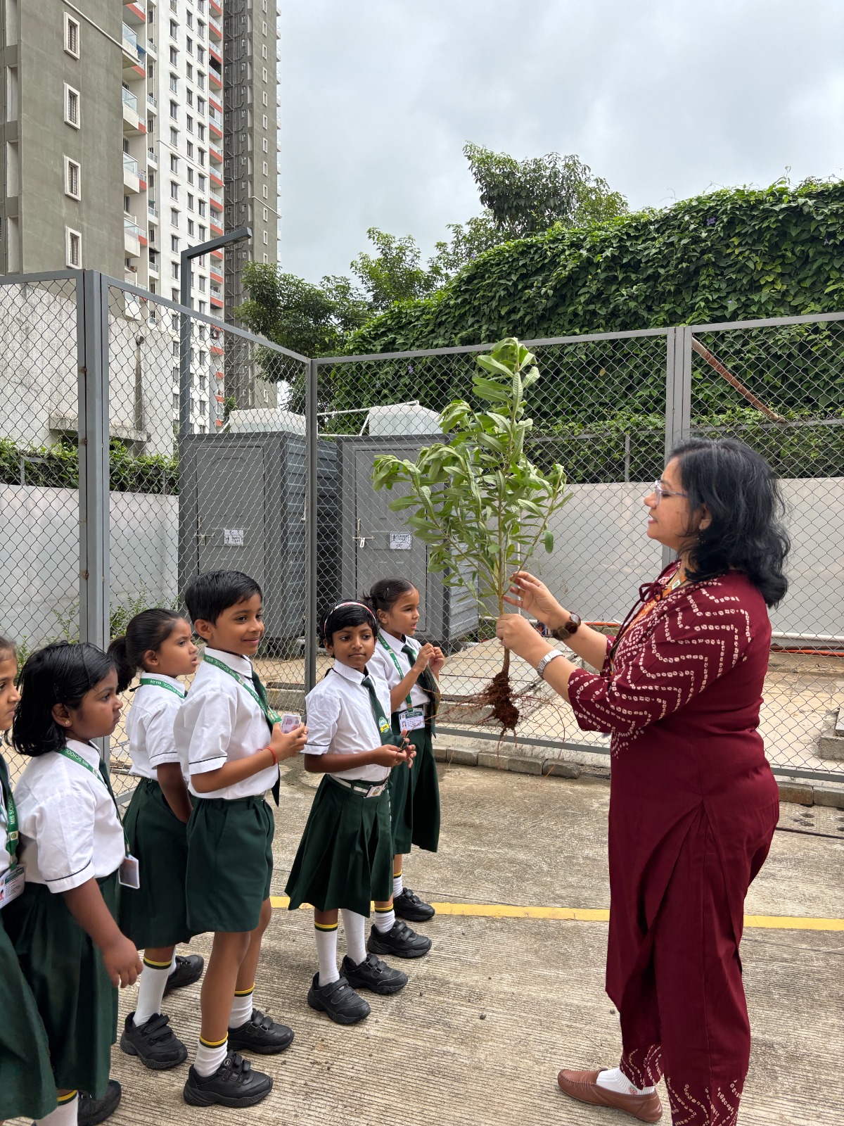 Ek Ped Maa Ke Naam, Tree Plantation Activity at MIS School Maan Hinjawadi